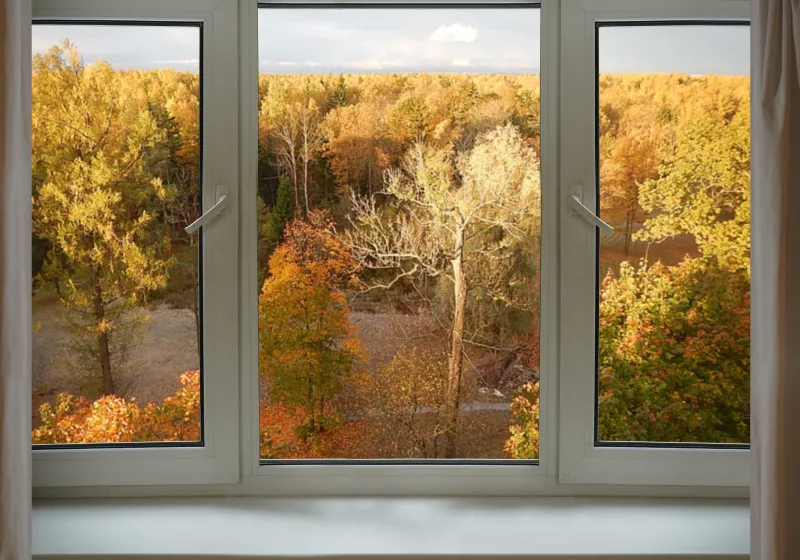 window overlooking fall trees